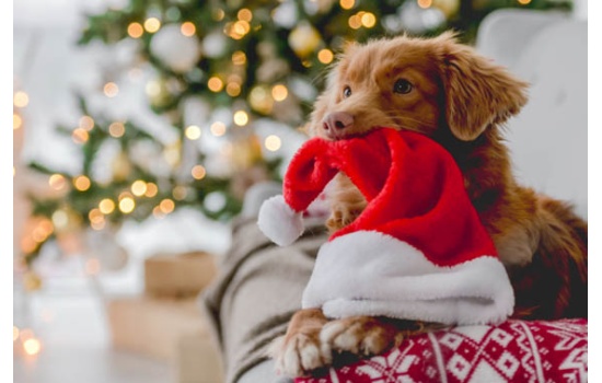 25014-Did you forget something